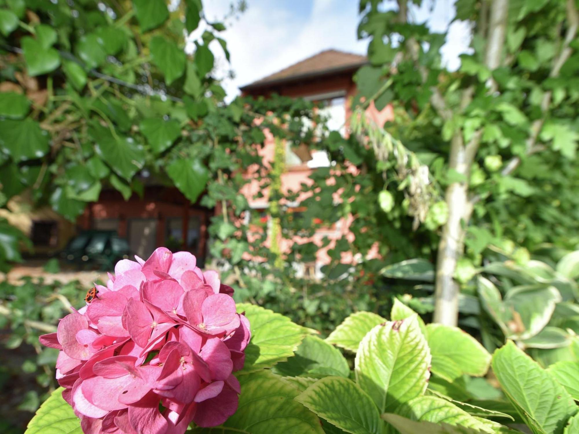 Countryside Apartment With Garden Шалщад Екстериор снимка