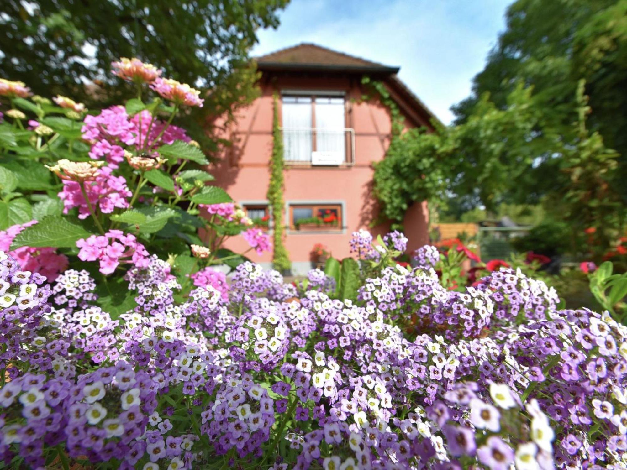 Countryside Apartment With Garden Шалщад Екстериор снимка