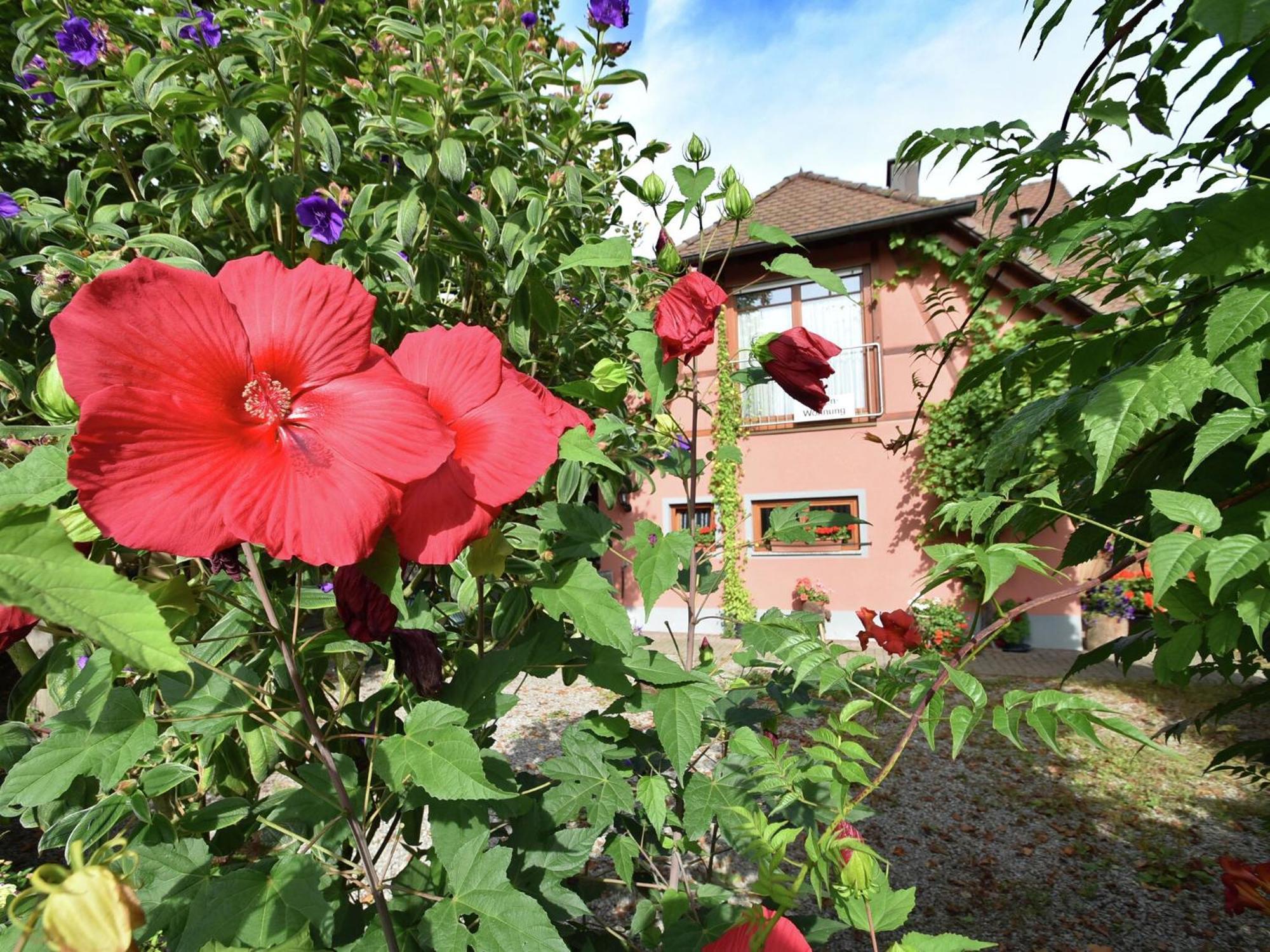 Countryside Apartment With Garden Шалщад Екстериор снимка