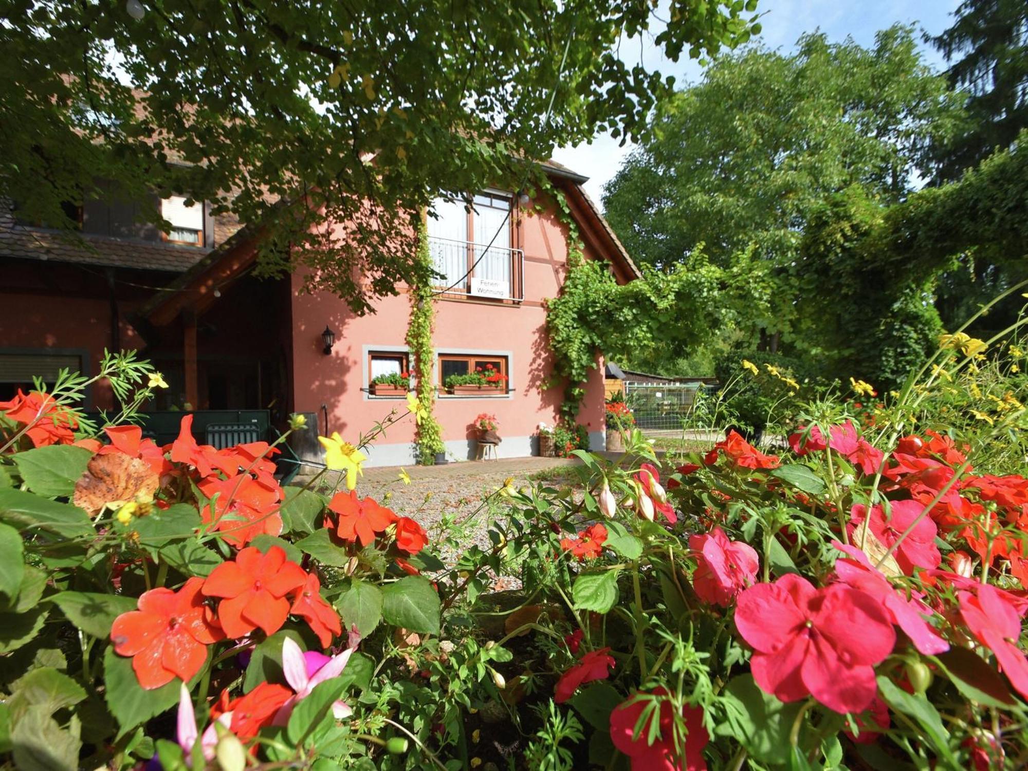 Countryside Apartment With Garden Шалщад Екстериор снимка